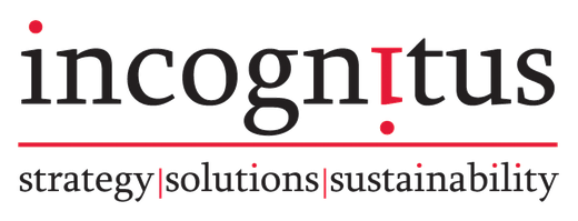 Incognitus - strategy, solutions, sustainability